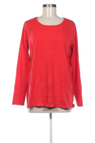 Damen Shirt Next, Größe XL, Farbe Rot, Preis € 29,56