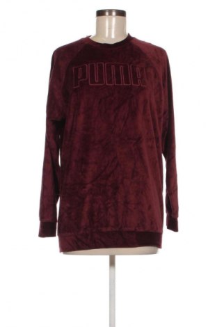 Damen Shirt PUMA, Größe M, Farbe Mehrfarbig, Preis 21,99 €