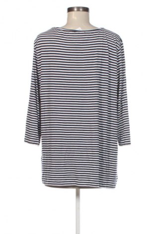 Damen Shirt Peter Hahn, Größe 3XL, Farbe Mehrfarbig, Preis € 20,99