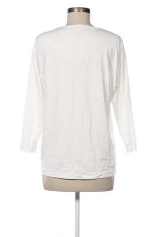 Γυναικεία μπλούζα Rabe, Μέγεθος XL, Χρώμα Πολύχρωμο, Τιμή 15,99 €