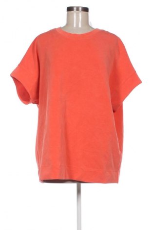 Γυναικεία μπλούζα S.Oliver, Μέγεθος XL, Χρώμα Πορτοκαλί, Τιμή 12,99 €