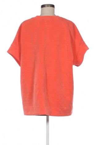 Γυναικεία μπλούζα S.Oliver, Μέγεθος XL, Χρώμα Πορτοκαλί, Τιμή 12,99 €