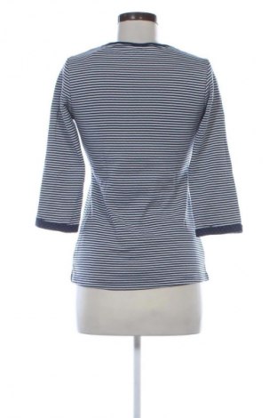 Γυναικεία μπλούζα S'questo, Μέγεθος XS, Χρώμα Πολύχρωμο, Τιμή 16,99 €