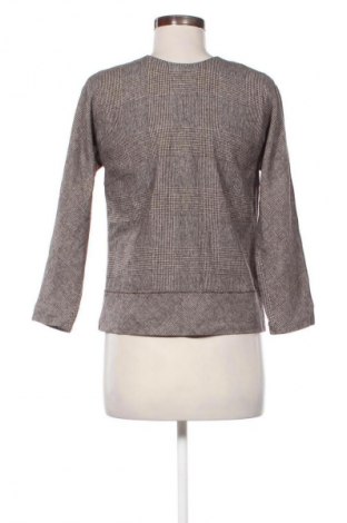 Γυναικεία μπλούζα Strenesse Blue, Μέγεθος S, Χρώμα Πολύχρωμο, Τιμή 24,49 €