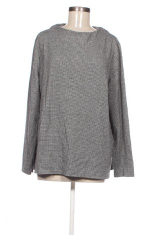 Γυναικεία μπλούζα Tom Tailor, Μέγεθος XXL, Χρώμα Πολύχρωμο, Τιμή 13,99 €