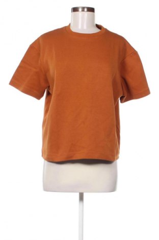 Damen Shirt Zara, Größe S, Farbe Braun, Preis 14,38 €