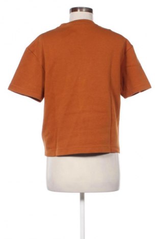 Damen Shirt Zara, Größe S, Farbe Braun, Preis 14,38 €