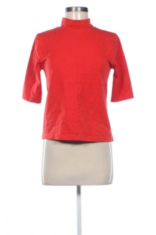 Damen Shirt Zara, Größe L, Farbe Rot, Preis € 10,23