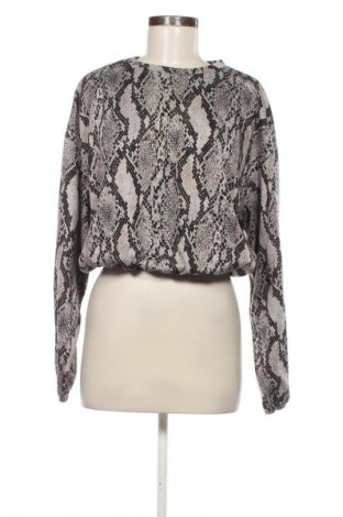 Damen Shirt Zara, Größe L, Farbe Mehrfarbig, Preis 13,99 €