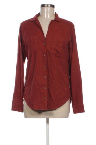 Γυναικείο πουκάμισο Abercrombie & Fitch, Μέγεθος S, Χρώμα Καφέ, Τιμή 12,99 €