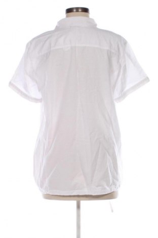 Dámska košeľa  Cecil, Veľkosť XL, Farba Hnedá, Cena  18,95 €