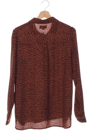 Damenbluse Cotton Club, Größe L, Farbe Mehrfarbig, Preis € 8,99