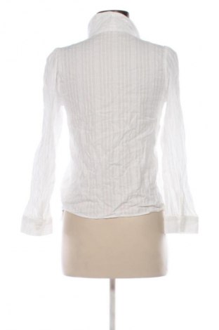 Damska koszula DAZY, Rozmiar L, Kolor Biały, Cena 57,47 zł