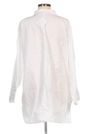 Damenbluse Frapp, Größe XL, Farbe Weiß, Preis 20,99 €