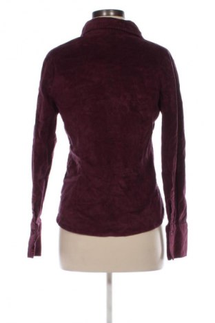 Damenbluse Livre, Größe L, Farbe Lila, Preis 6,99 €