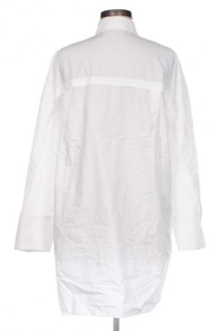 Damenbluse Marc Cain Sports, Größe S, Farbe Weiß, Preis 56,99 €