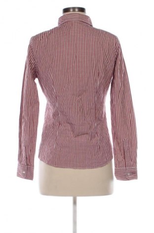 Cămașă de femei Montego, Mărime M, Culoare Multicolor, Preț 66,00 Lei