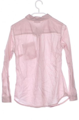 Damenbluse Street One, Größe XS, Farbe Rosa, Preis € 20,97