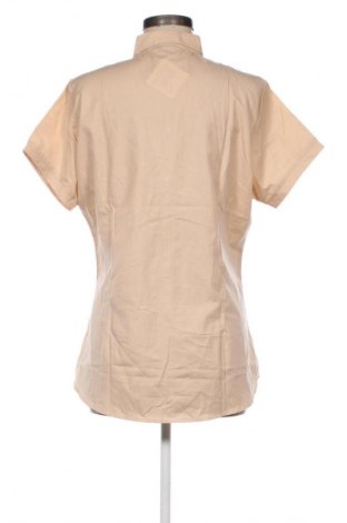 Damska koszula Unbranded, Rozmiar 3XL, Kolor Beżowy, Cena 66,99 zł
