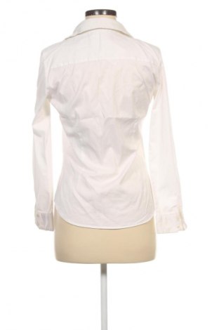 Damenbluse Zara, Größe M, Farbe Weiß, Preis 37,42 €