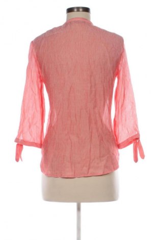 Damenbluse Zara, Größe S, Farbe Mehrfarbig, Preis 16,99 €