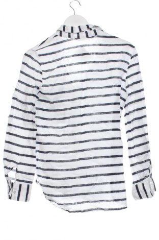 Damenbluse Zara, Größe XS, Farbe Mehrfarbig, Preis 13,80 €