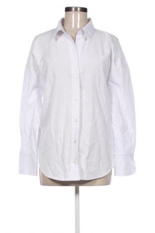 Damenbluse Zara, Größe L, Farbe Weiß, Preis € 12,99