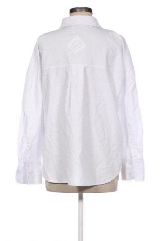 Damenbluse Zara, Größe L, Farbe Weiß, Preis € 12,99