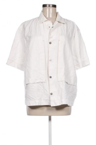 Damenbluse Zara, Größe L, Farbe Ecru, Preis 16,99 €