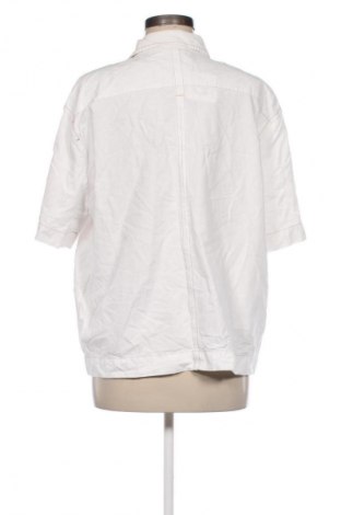 Damenbluse Zara, Größe L, Farbe Ecru, Preis 16,99 €