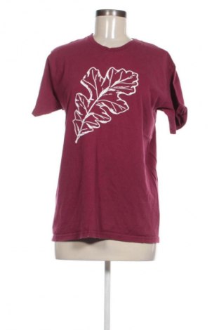 Γυναικείο t-shirt Fruit Of The Loom, Μέγεθος M, Χρώμα Πολύχρωμο, Τιμή 8,68 €