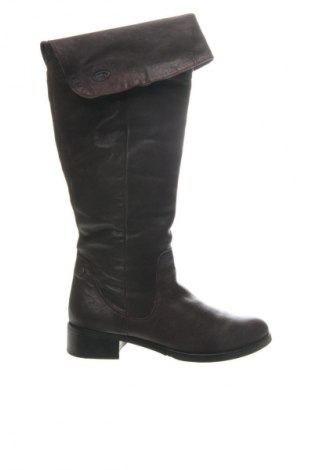 Damenstiefel Tom Tailor, Größe 39, Farbe Braun, Preis 57,99 €