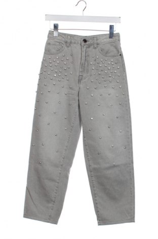 Damen Jeans Pinko, Größe XS, Farbe Grau, Preis 116,92 €