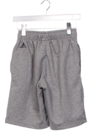 Dámske kraťasy  Adidas, Veľkosť XS, Farba Sivá, Cena  20,95 €