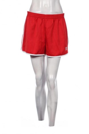 Damen Shorts Adidas, Größe L, Farbe Rot, Preis 51,99 €