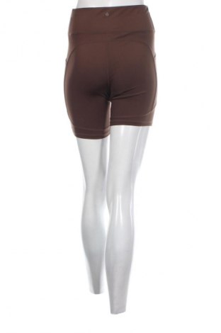 Damen Shorts Even&Odd, Größe S, Farbe Braun, Preis 12,99 €