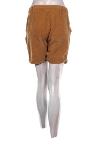 Γυναικείο κοντό παντελόνι Gina, Μέγεθος M, Χρώμα Καφέ, Τιμή 8,99 €