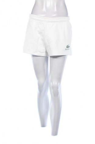 Damskie szorty Lacoste, Rozmiar S, Kolor Biały, Cena 434,99 zł