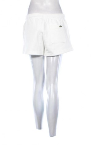 Damskie szorty Lacoste, Rozmiar S, Kolor Biały, Cena 434,99 zł