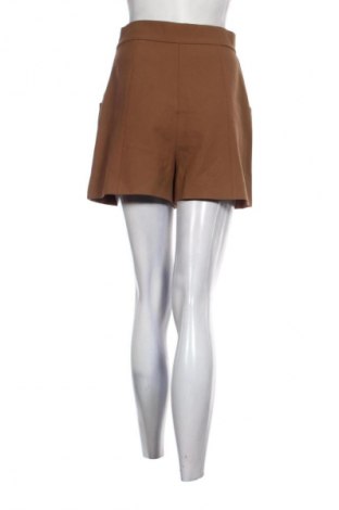 Γυναικείο κοντό παντελόνι Zara, Μέγεθος S, Χρώμα Καφέ, Τιμή 13,99 €
