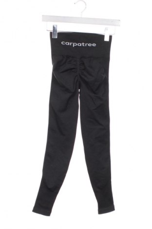 Damen Leggings Carpatree, Größe XXS, Farbe Grau, Preis € 41,99