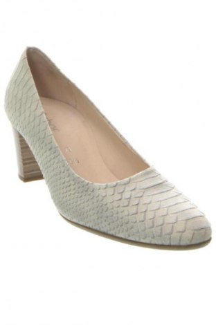 Damenschuhe Gabor, Größe 40, Farbe Mehrfarbig, Preis 64,99 €