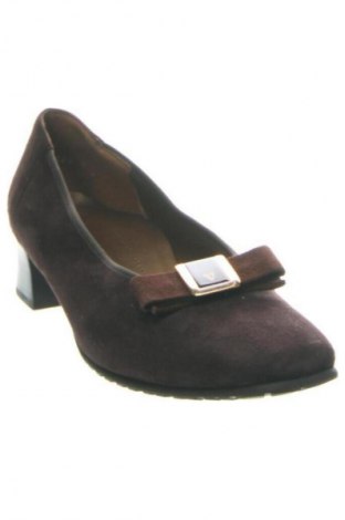 Dámske topánky  HASSIA, Veľkosť 38, Farba Hnedá, Cena  79,00 €