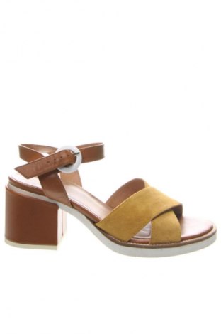 Dámske topánky  Janet Sport, Veľkosť 40, Farba Viacfarebná, Cena  79,95 €