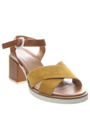 Dámske topánky  Janet Sport, Veľkosť 40, Farba Viacfarebná, Cena  79,95 €