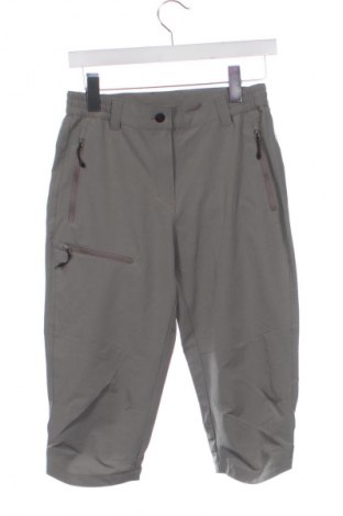 Damenhose Icepeak, Größe XS, Farbe Grau, Preis 82,99 €