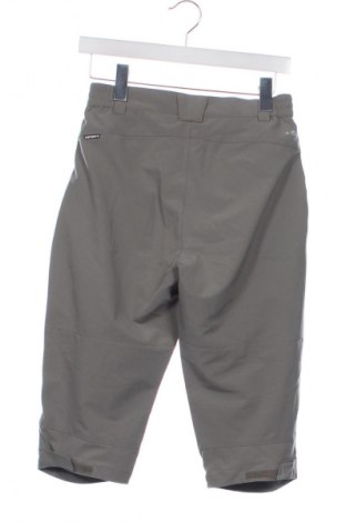 Damenhose Icepeak, Größe XS, Farbe Grau, Preis 82,99 €