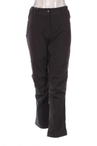 Дамски панталон за зимни спортове Crane, Размер L, Цвят Черен, Цена 144,99 лв.