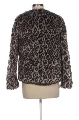 Γυναικείο παλτό Naf Naf, Μέγεθος M, Χρώμα Πολύχρωμο, Τιμή 44,99 €