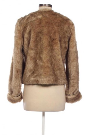 Palton de femei Zara, Mărime S, Culoare Multicolor, Preț 238,99 Lei